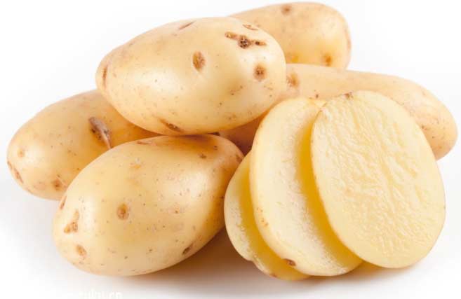 马铃薯淀粉成套设备